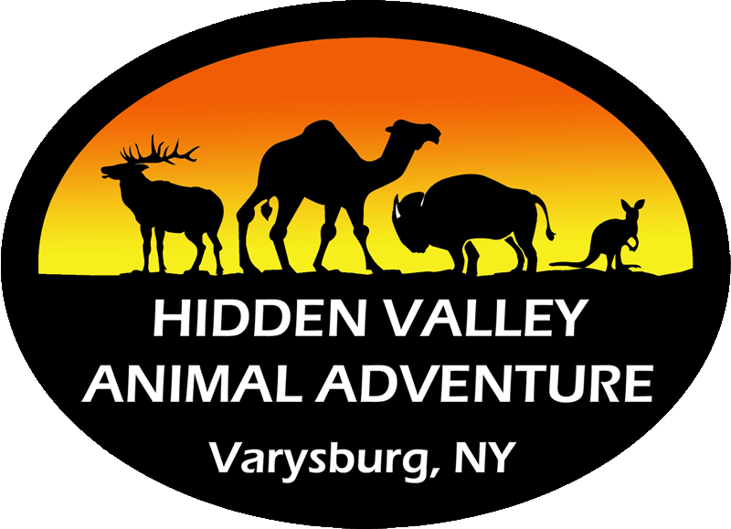 Hidden Valley Animal Adventure